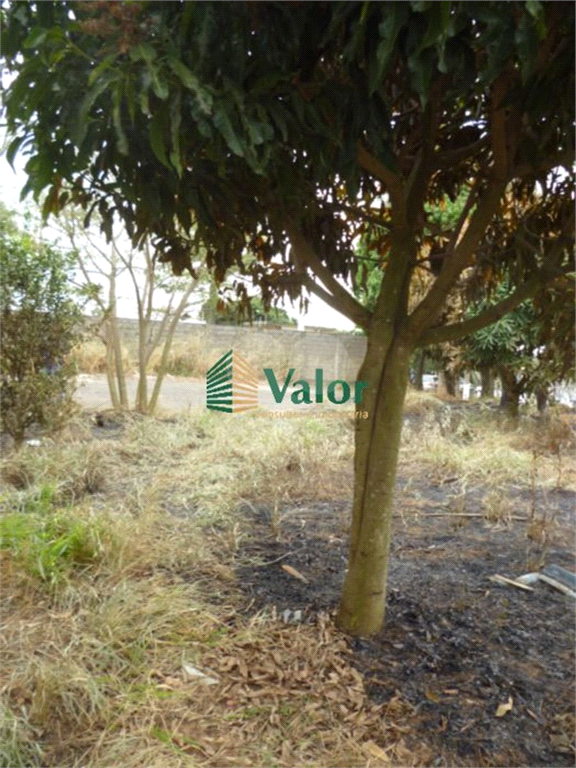 Venda Galpão São Carlos Jardim Maracanã REO625032 12