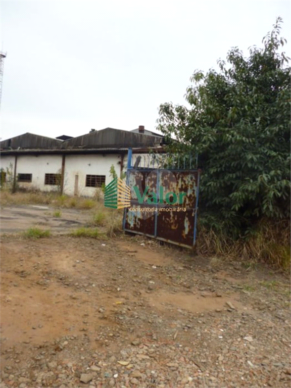 Venda Galpão São Carlos Jardim Maracanã REO625032 15