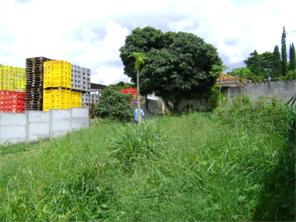 Venda Terreno Guarulhos Vila Flórida REO625221 8