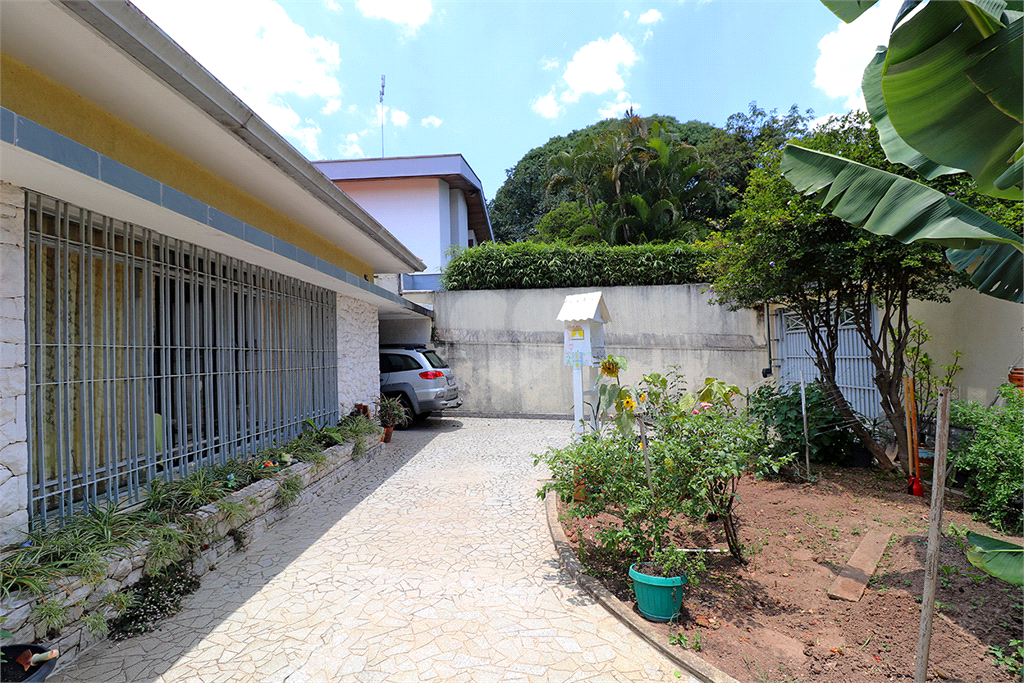 Venda Casa térrea São Paulo Butantã REO625350 1