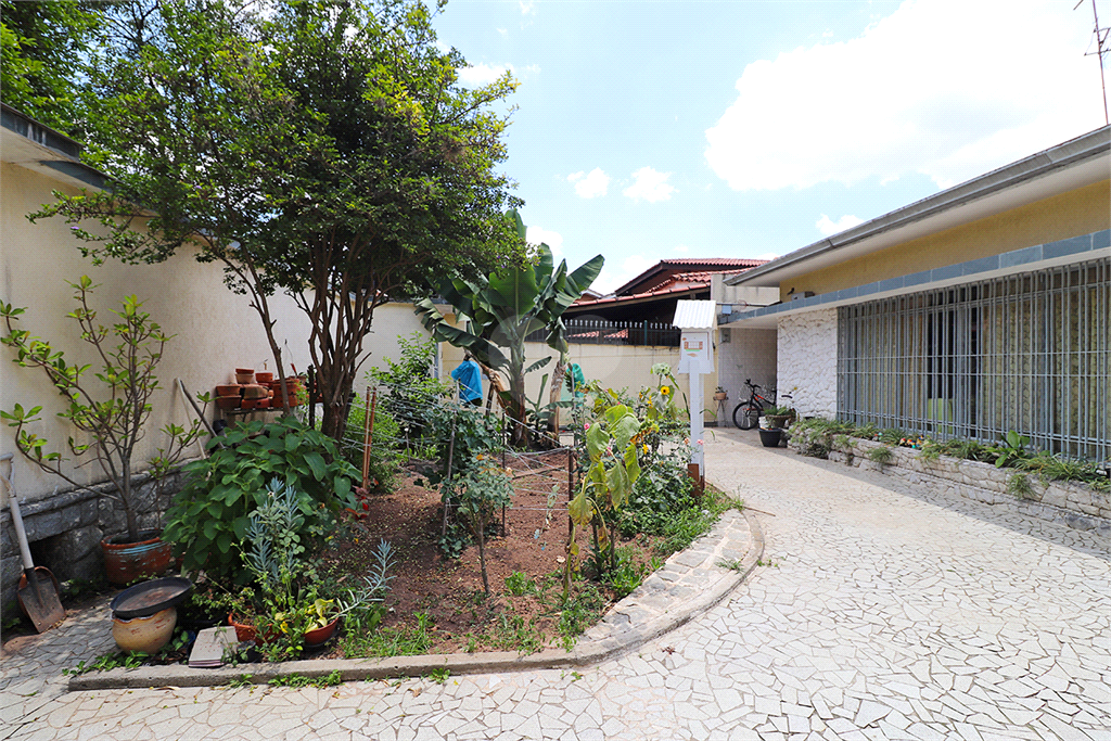 Venda Casa térrea São Paulo Butantã REO625350 2