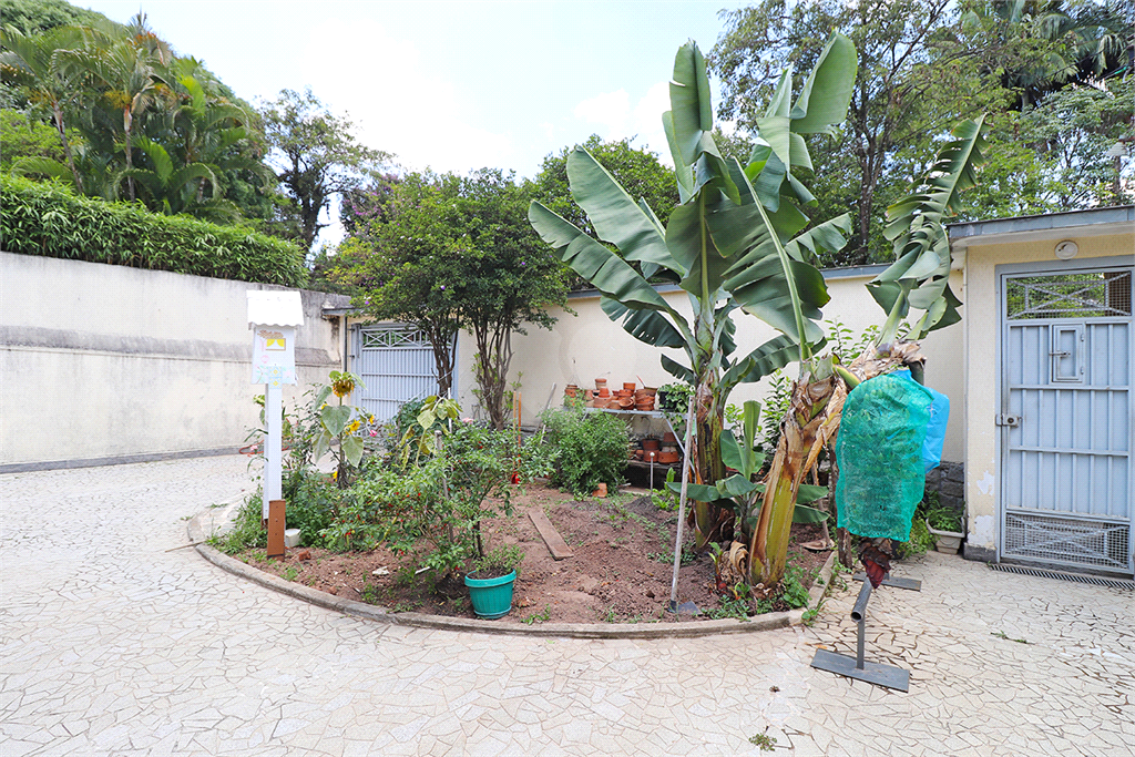 Venda Casa térrea São Paulo Butantã REO625350 4