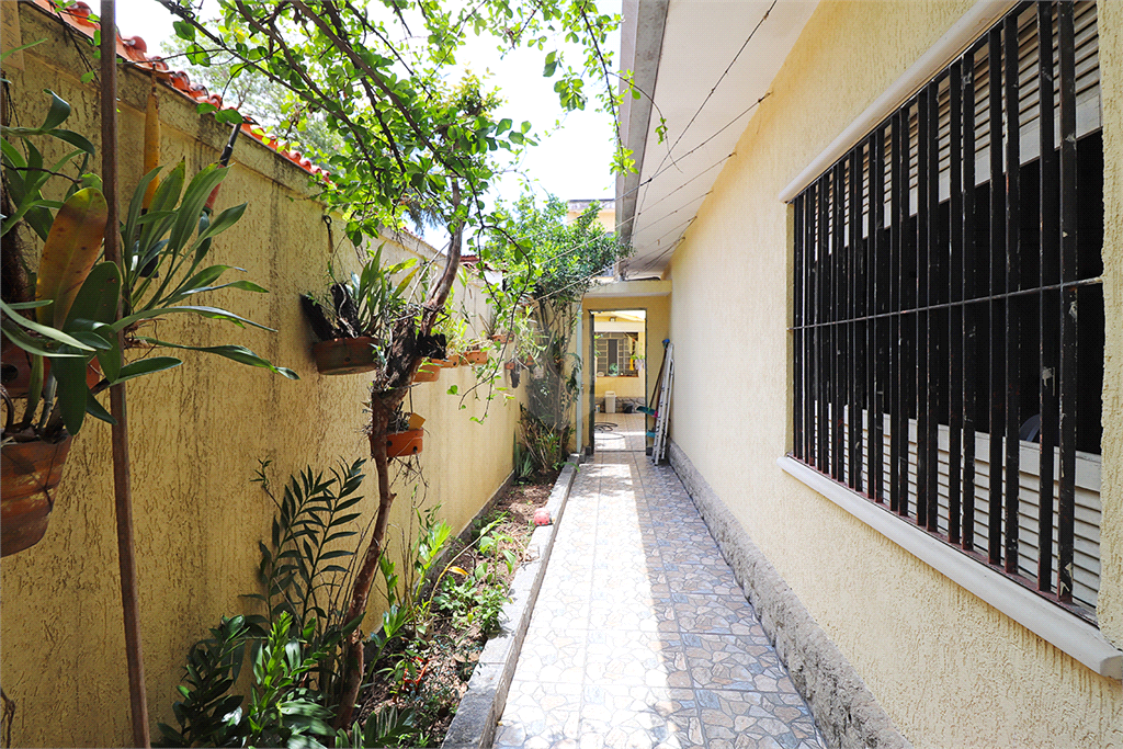 Venda Casa térrea São Paulo Butantã REO625350 6