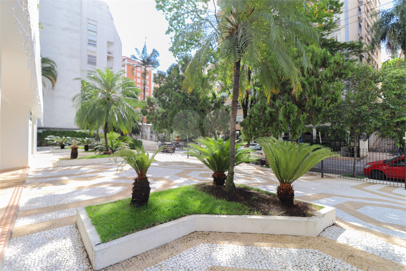 Foto REO62549