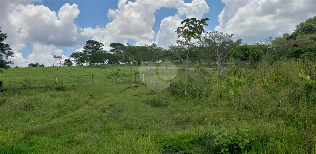 Venda Chácara Ribeirão Bonito Centro REO625589 55