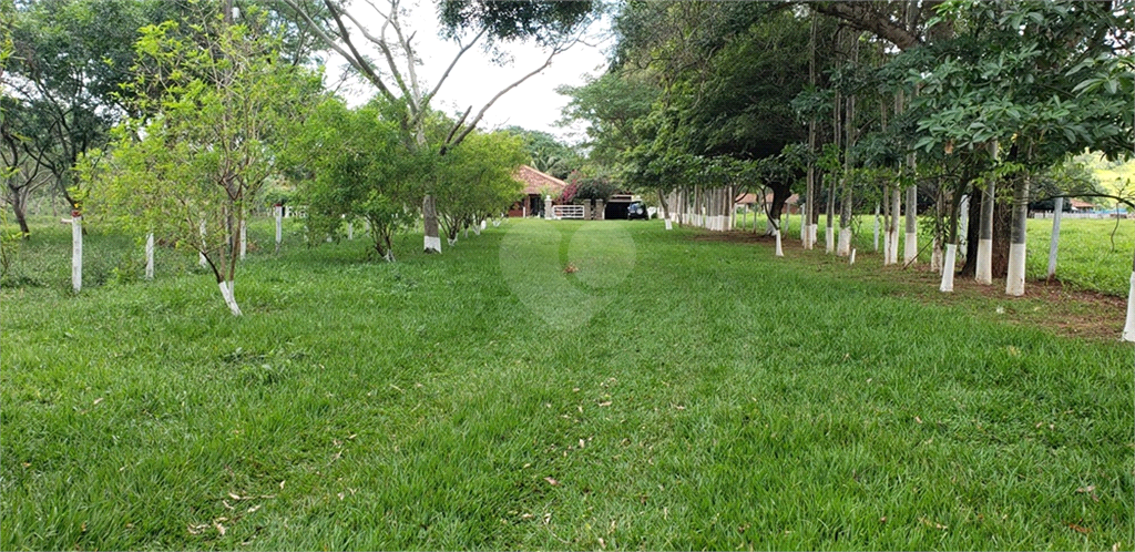 Venda Chácara Ribeirão Bonito Centro REO625589 111