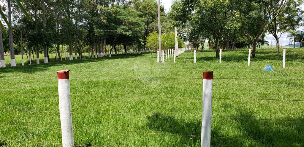 Venda Chácara Ribeirão Bonito Centro REO625589 90