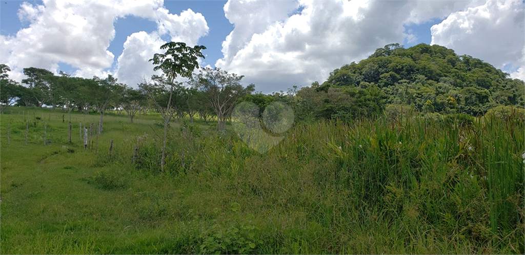 Venda Chácara Ribeirão Bonito Centro REO625589 56