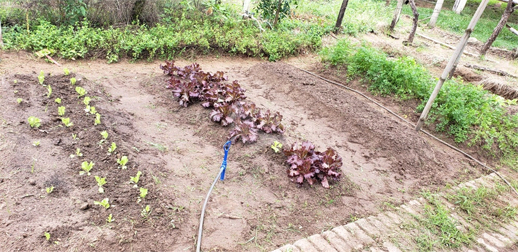 Venda Chácara Ribeirão Bonito Centro REO625589 38