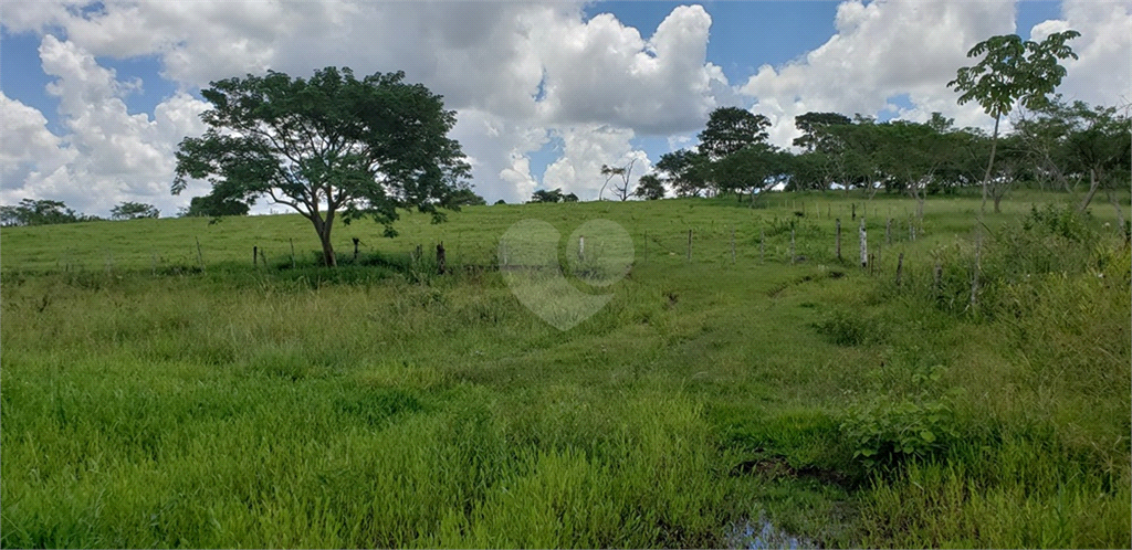 Venda Chácara Ribeirão Bonito Centro REO625589 52