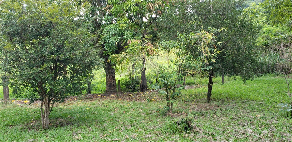 Venda Chácara Ribeirão Bonito Centro REO625589 45