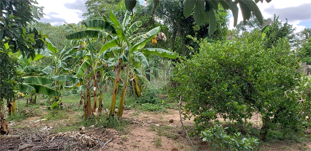 Venda Chácara Ribeirão Bonito Centro REO625589 43