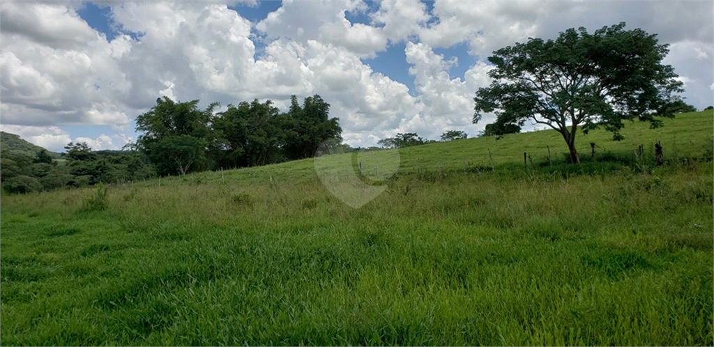 Venda Chácara Ribeirão Bonito Centro REO625589 51