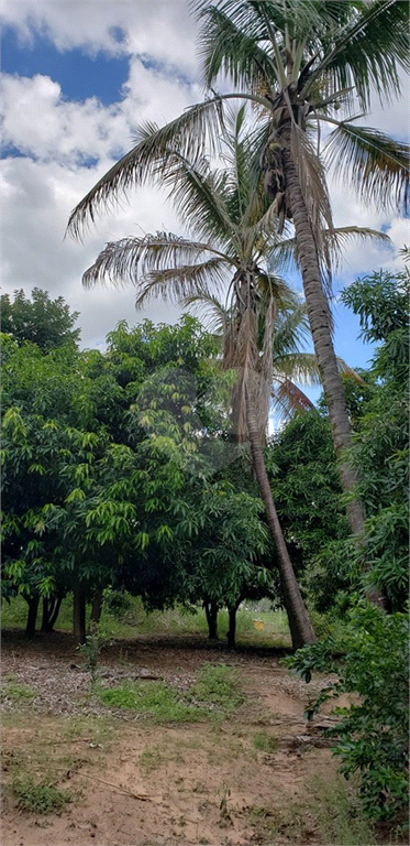 Venda Chácara Ribeirão Bonito Centro REO625589 40