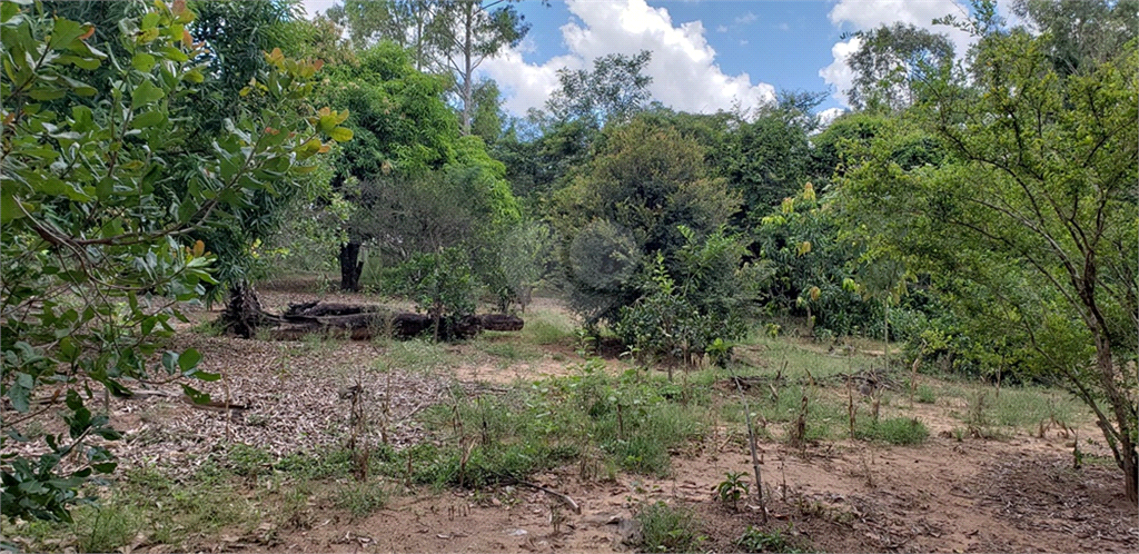 Venda Chácara Ribeirão Bonito Centro REO625589 42