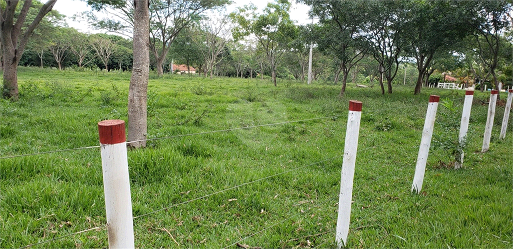 Venda Chácara Ribeirão Bonito Centro REO625589 112