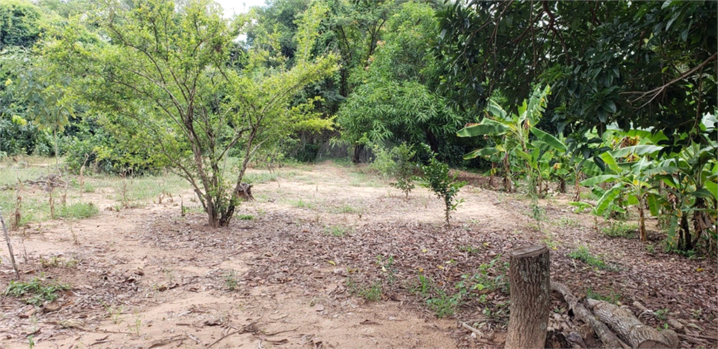 Venda Chácara Ribeirão Bonito Centro REO625589 41