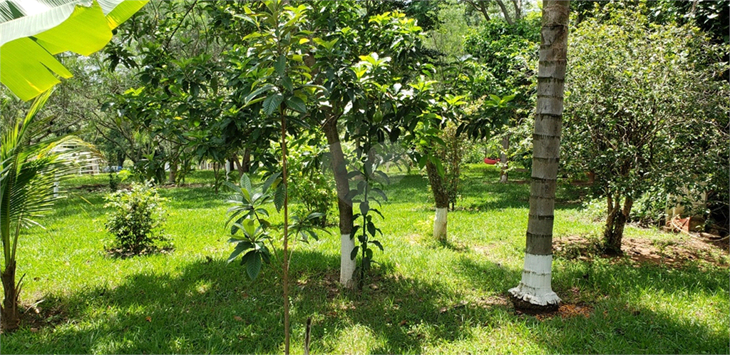 Venda Chácara Ribeirão Bonito Centro REO625589 71