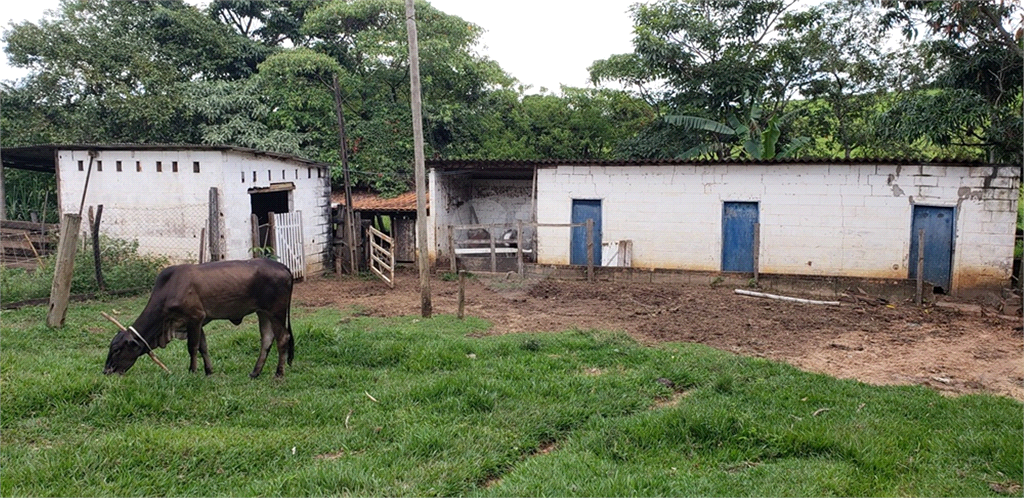 Venda Chácara Ribeirão Bonito Centro REO625589 35