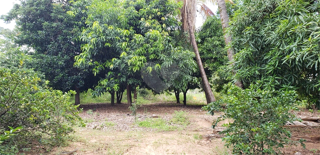 Venda Chácara Ribeirão Bonito Centro REO625589 39