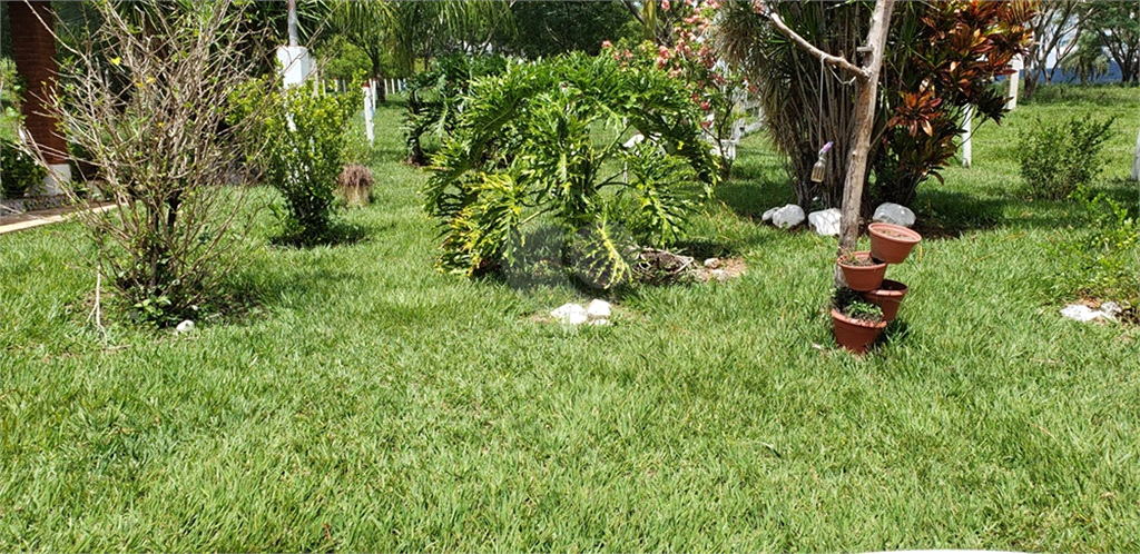 Venda Chácara Ribeirão Bonito Centro REO625589 82