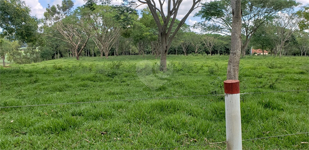 Venda Chácara Ribeirão Bonito Centro REO625589 113