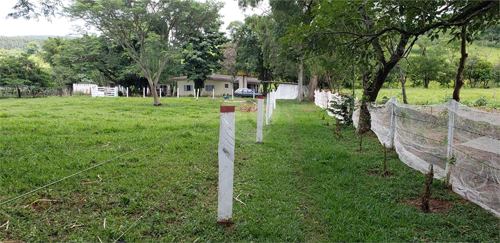 Venda Chácara Ribeirão Bonito Centro REO625589 26