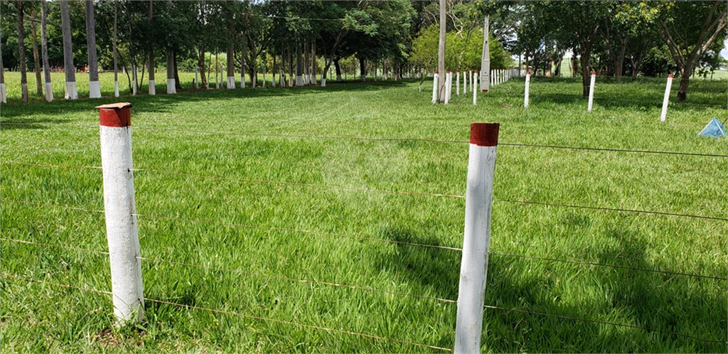 Venda Chácara Ribeirão Bonito Centro REO625589 88