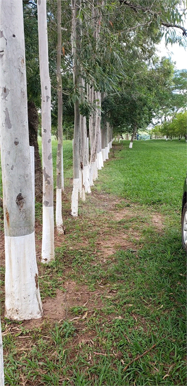 Venda Chácara Ribeirão Bonito Centro REO625589 107