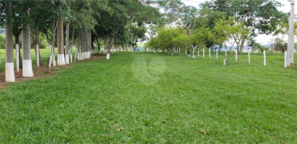 Venda Chácara Ribeirão Bonito Centro REO625589 108