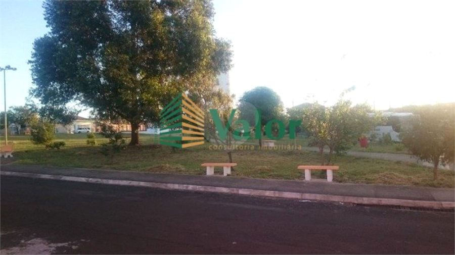 Foto REO625598
