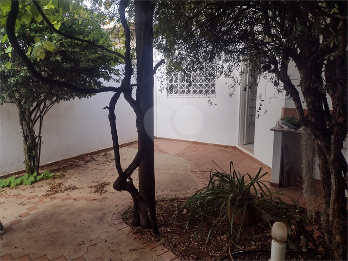 Foto REO625661