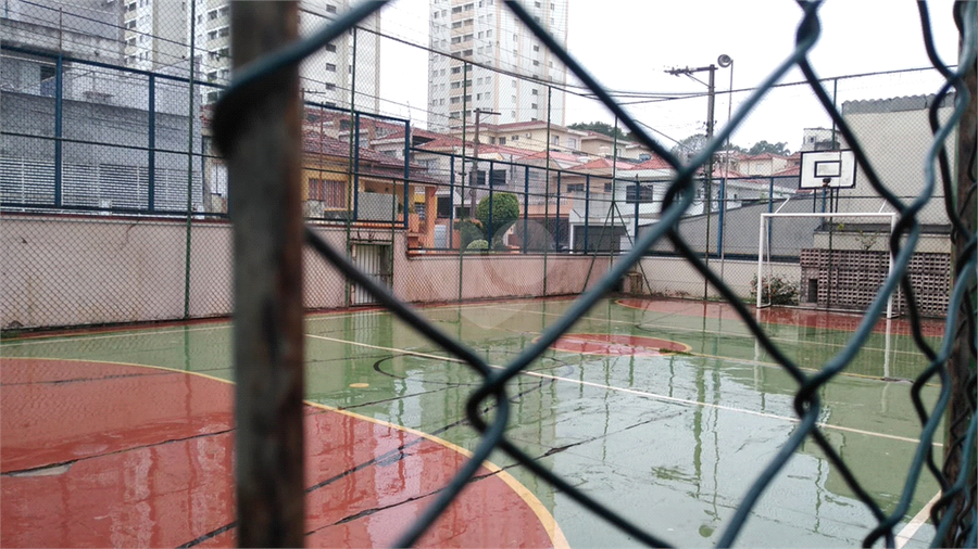 Foto REO625951
