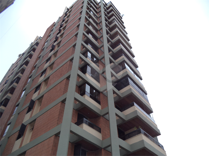 Foto REO626166