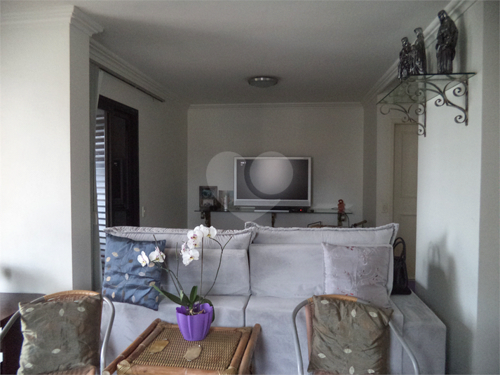 Foto REO626166