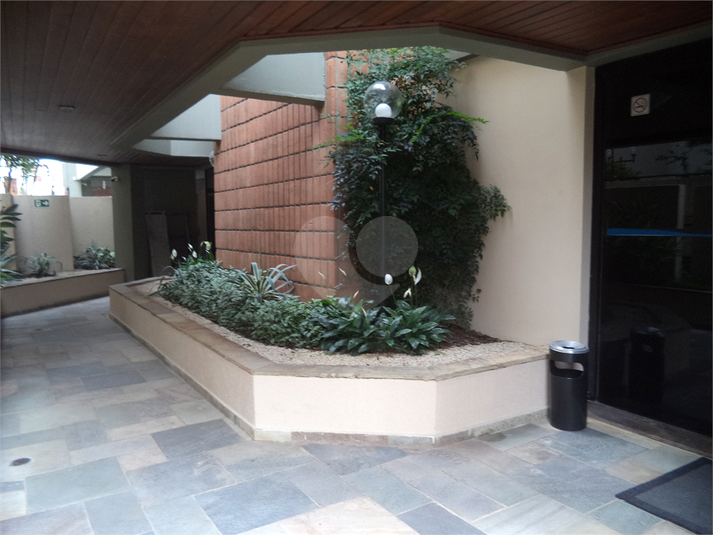 Foto REO626166