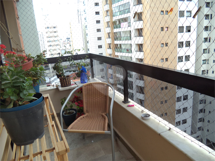 Foto REO626166