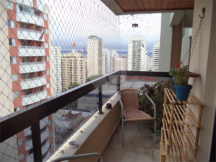 Foto REO626166