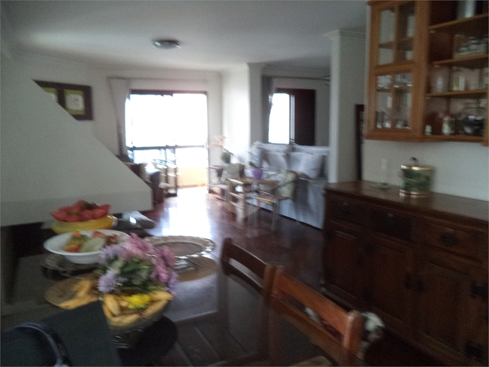 Foto REO626166