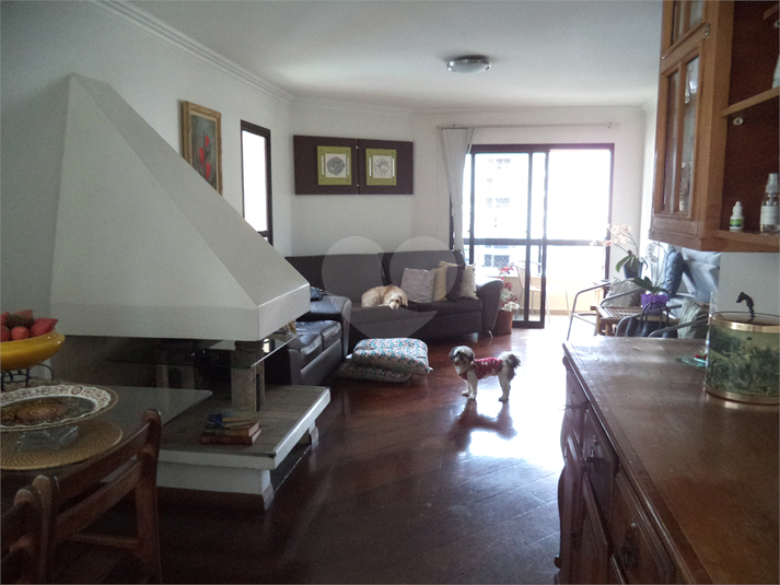 Foto REO626166