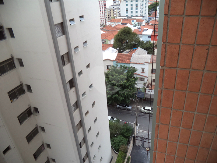 Foto REO626166