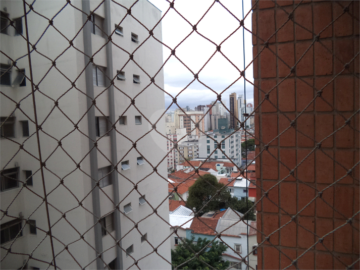 Foto REO626166