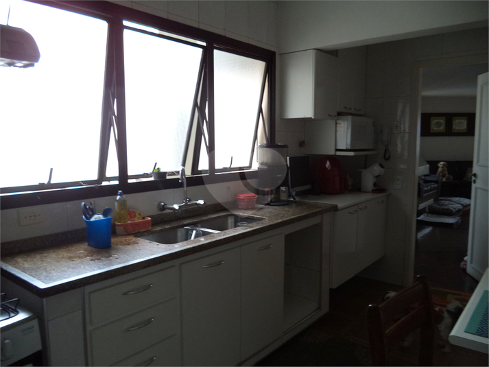 Foto REO626166