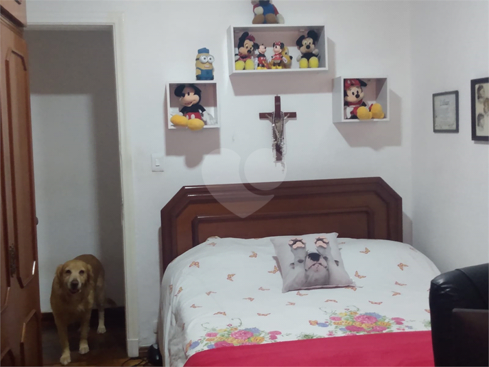 Foto REO626267