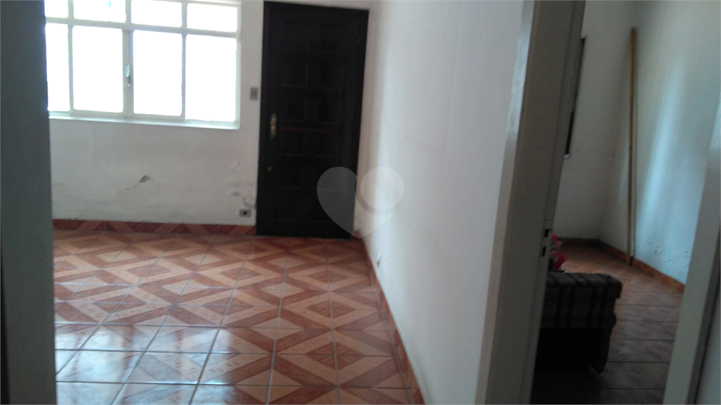 Foto REO626323
