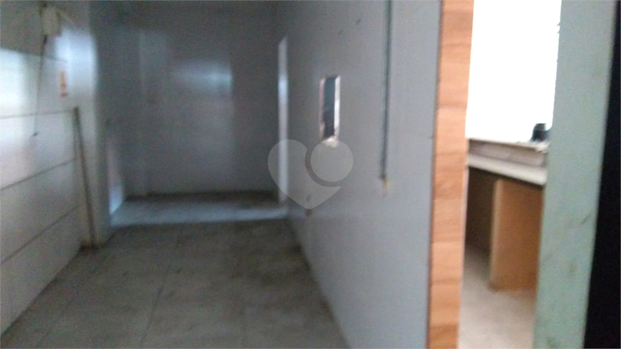 Foto REO626323