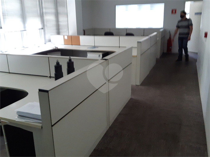 Foto REO626522