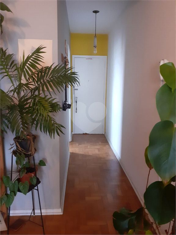 Venda Apartamento São Paulo Campos Elíseos REO626539 4