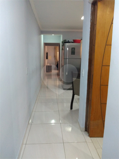 Foto REO626647