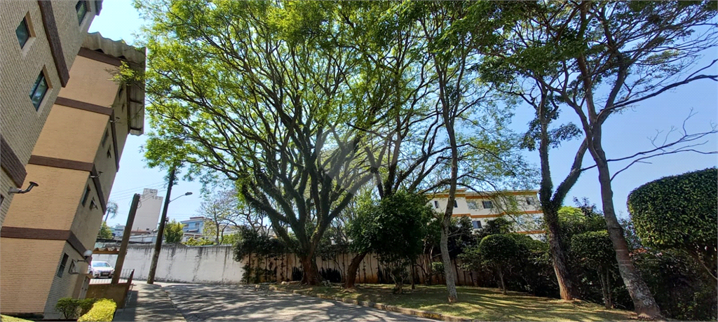 Venda Apartamento São Bernardo Do Campo Baeta Neves REO626651 2